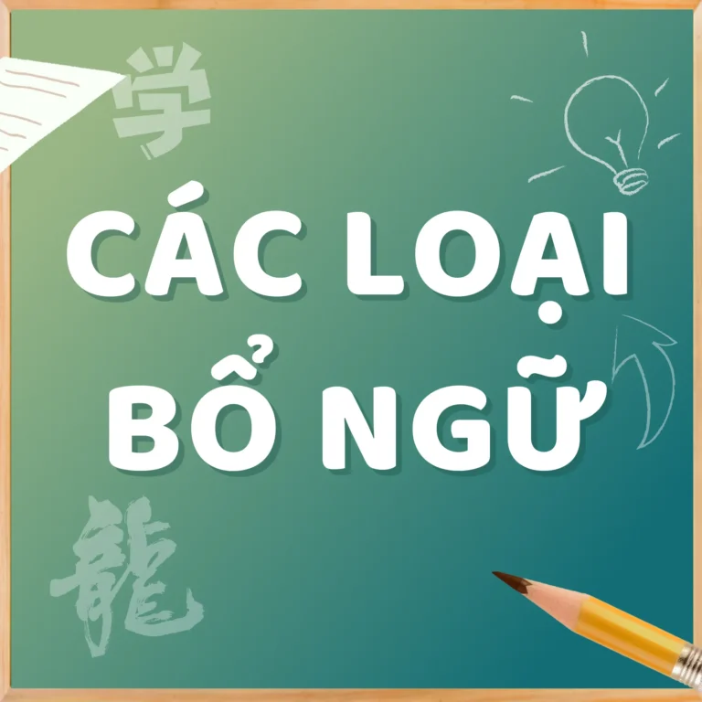 Các loại bổ ngữ trong tiếng Trung